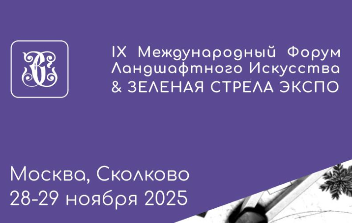 Все Projects Body Layout