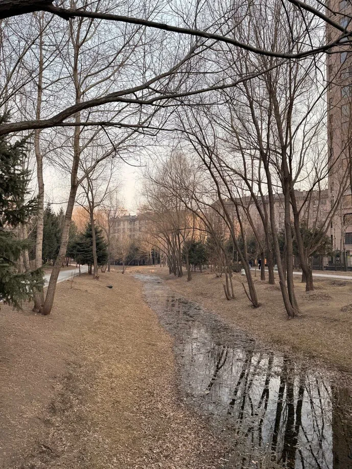 Водно-зелёный коридор, который проходит через застройку, собирает поверхностный сток и направляет его в парк, одновременно выполняя функции очистки и инфильтрации