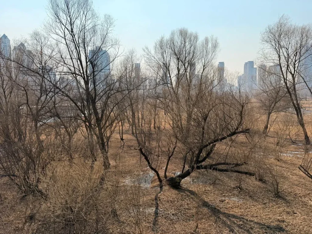 Сток после очистки поступает в общую водную систему парка, становясь частью его единого водного контура