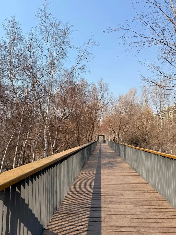 Харбинский парк Цюньли: как один объект помогает понять систему ВЗИ города